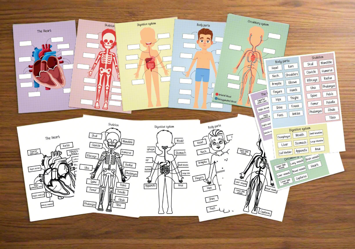 Body part labeling activity