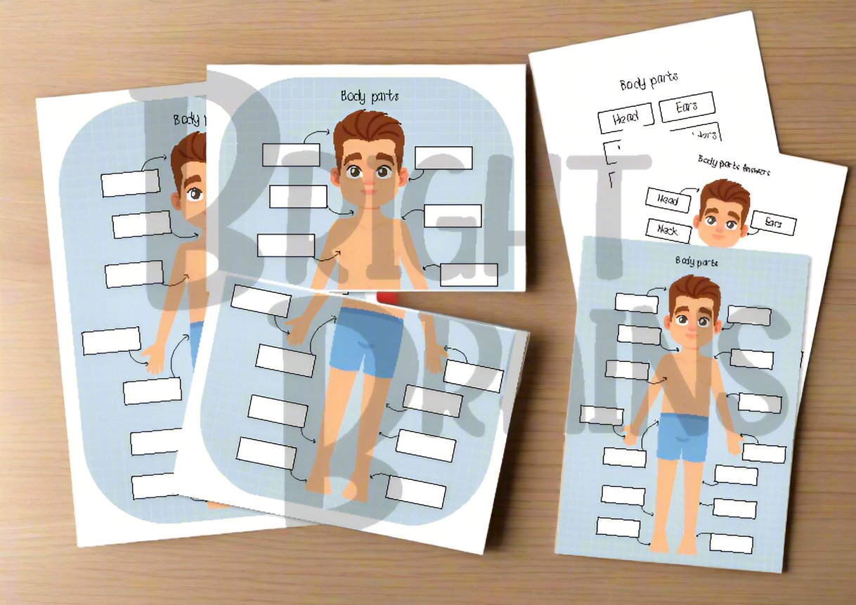 Human Anatomy labelling body parts printable