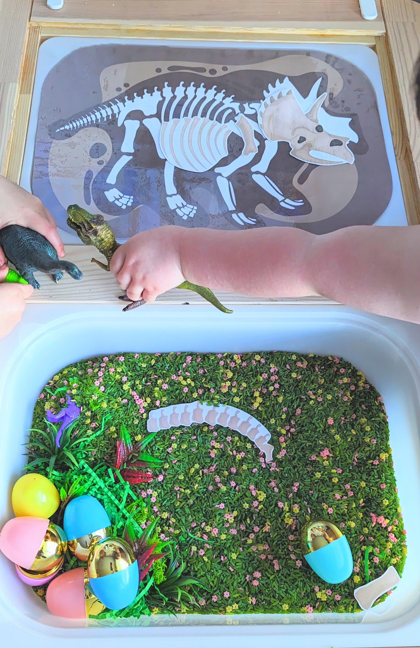 Flisat inserts - Dino fossil dig - Four Dinosaurs - INCLUDES 4 DINOSAURS