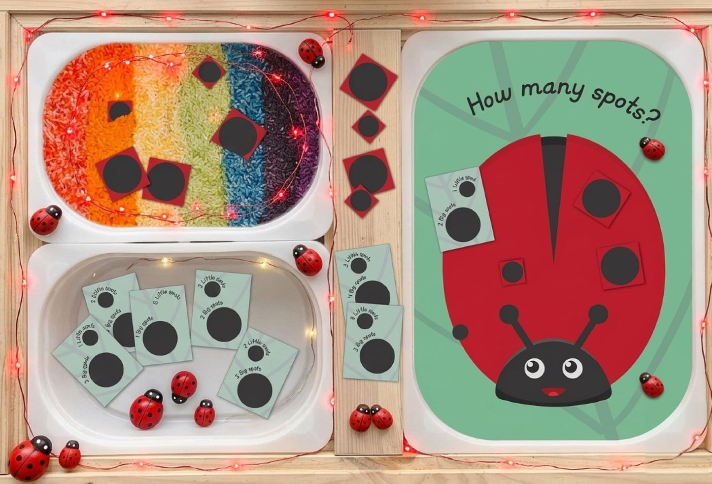 Count the spots ladybird sensory insert