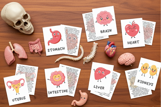 The Body - Cute Organ Flashcards with info