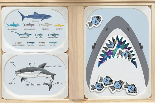Take a Bite Out of Learning: The Ultimate Shark Discovery Pack!
