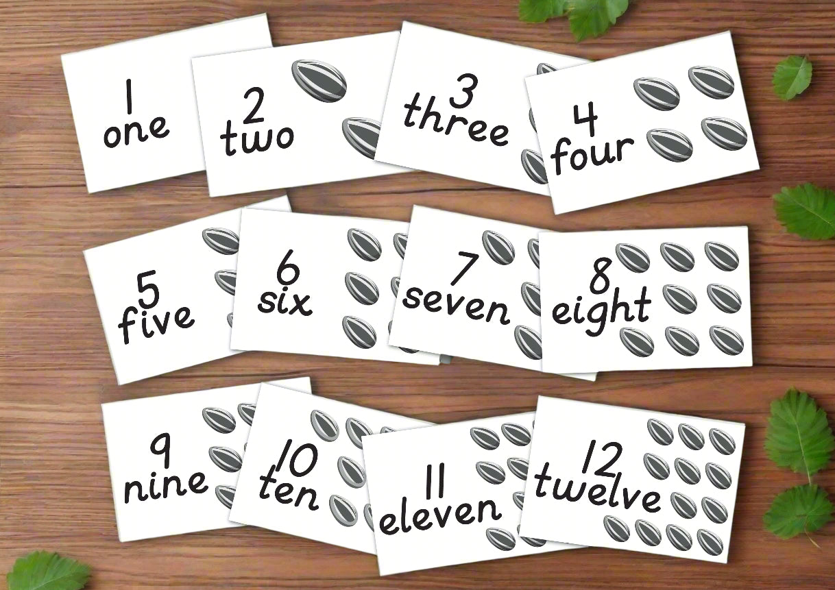 Sunflower Flashcard printables