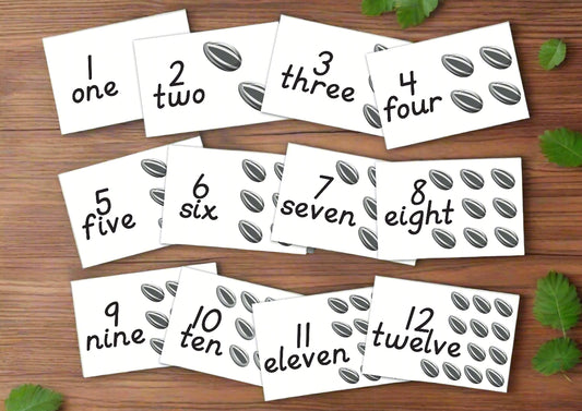 Sunflower Flashcard printables